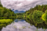 Quiet Reflection