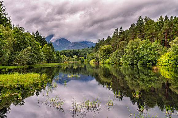 Quiet Reflection